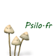 Psilo